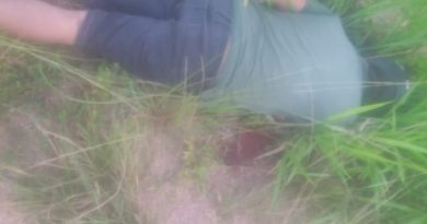 49309823_377575276141213_2040483535776645120_n