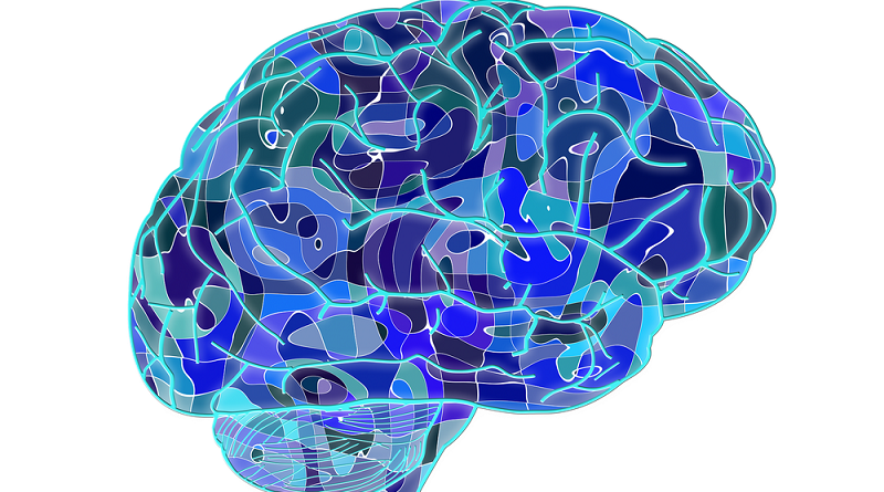 cerebro-azul