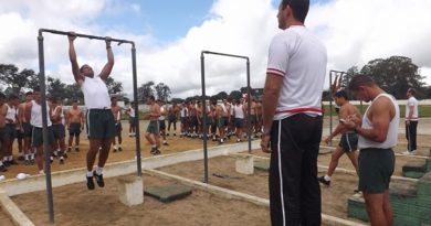 destaque-569635-susipe