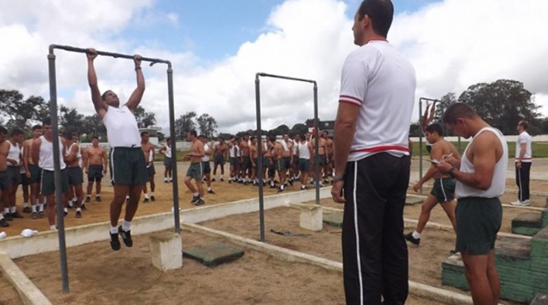 destaque-569635-susipe