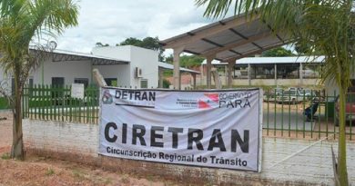 detran np