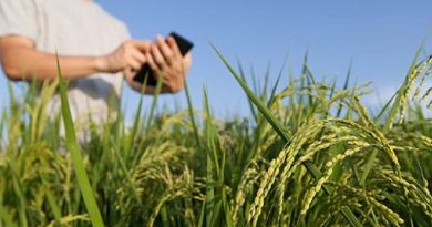 lavoura-tecnico-agronegocio-Senar-Divulgac-o