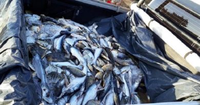 pescado-apreendido