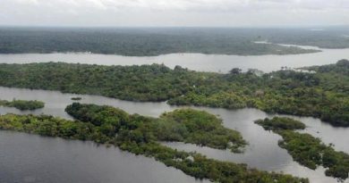 Amazonia-rios-Valter-Campanato