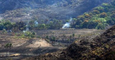 dematamento-Valter-Campanato-Agencia-Brasil