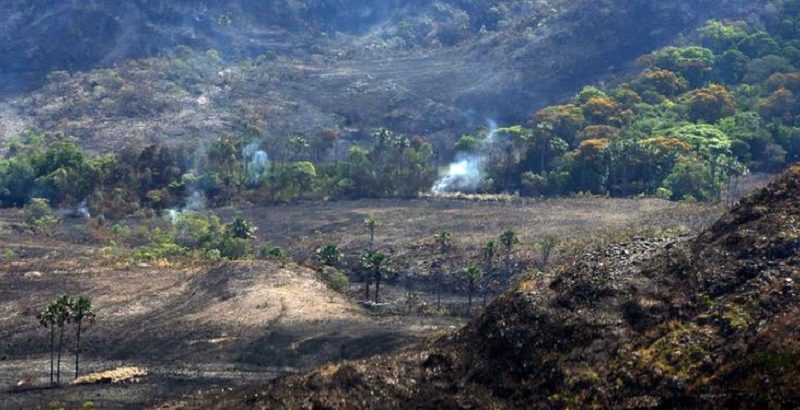 dematamento-Valter-Campanato-Agencia-Brasil