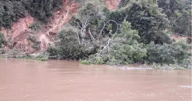 fenomino terras caidas santarem