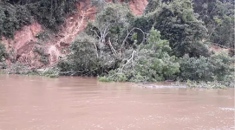 fenomino terras caidas santarem