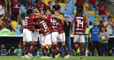 flamengo-1024x683-990x556