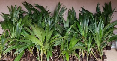 58443309_868414226849953_145628592817045504_n