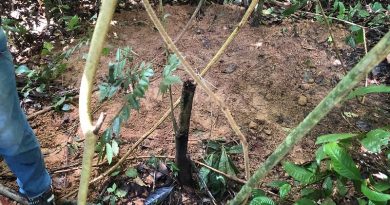 Corpos de mãe e filha são encontrados em Altamira — Foto: Divulgação / Polícia Civil