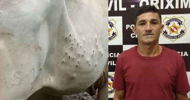 destaque-588166-atirador-boi