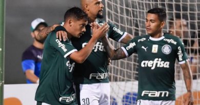 palmeiras