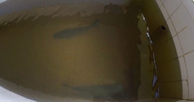 estacao-de-piscicultura