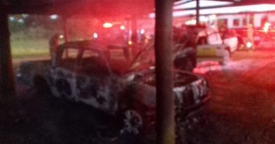 Carro do Ibama ficou destruído após pegar fogo na sede do órgão, em Brasília — Foto: CBMDF/Divulgação