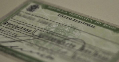 Titulo de eleitor (Foto:Reprodução)