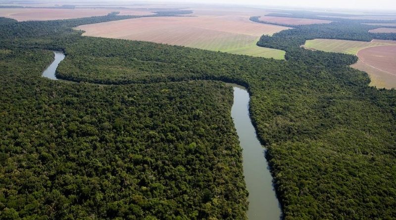 desmatamento-e-principal-preocupacao-ambiental-do-brasileiro-diz-pesquisa__377094_