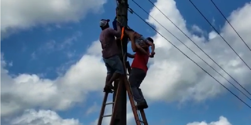 servidor fica empedurado no pste
