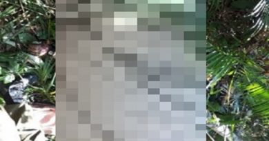 66058852_360259807965428_5450309882261536768_n