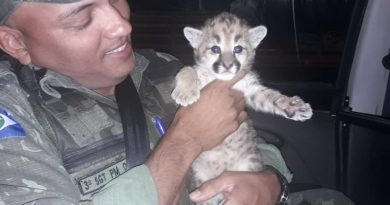 WhatsApp-Image-2019-07-18-at-19.26.37-990x556