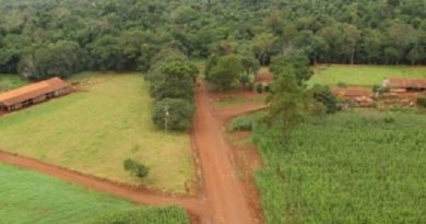 colono estrada parque