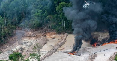 DESMATAMENTO IBAMA GARIMPO