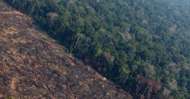 Queimadas-na-Amazonia