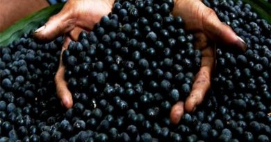 açai