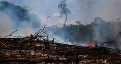 15671979045d698ad0e9614_1567197904_3x2_md