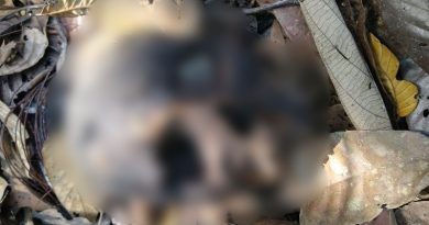 O crânio humano  foi encontrado no sábado dia 14 de Setembro de 2019,  estava na fazenda onde o fazendeiro desapareceu, na vicinal Marajoara, não foi possível identificar o sexo, estava carbonizado com sinais de disparo de arma de fogo. A policia acredita que  a vítima foi executada e posteriormente teve seu corpo carbonizado, sendo utilizados pneus de veículo.