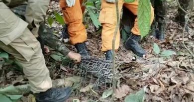 JAGUATIRICA BOMBEIROS