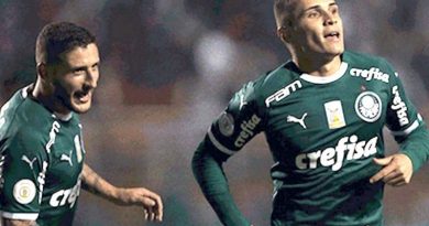 Palmeiras-julho-de-2019-ass-990x556