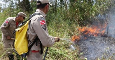 incendio novo progresso