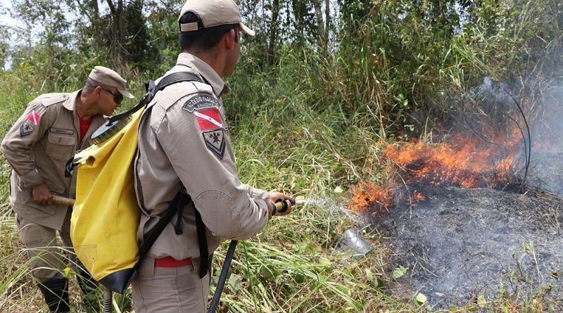 incendio novo progresso