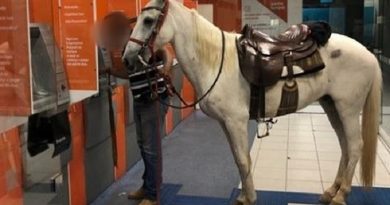 cavalo-em-agencia-bancaria