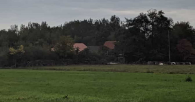 familia vevi 9 anos no porão