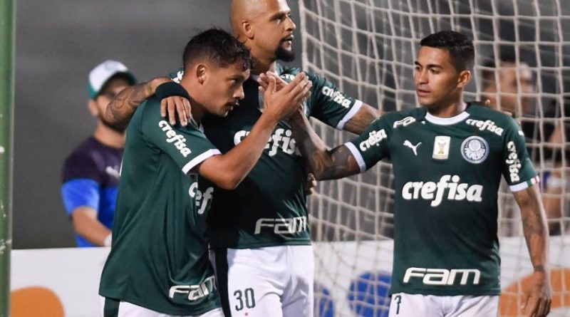 palmeiras