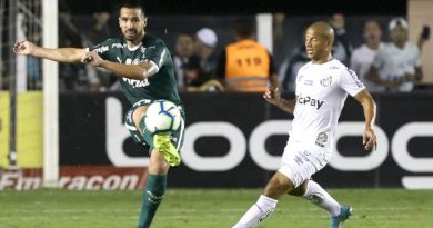 palmeiras-x-sanrtos-990x556