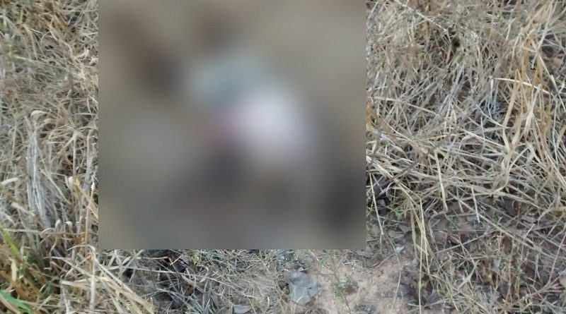 whatsapp-image-2019-10-21-at-13-1-