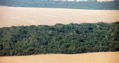 COMMODS-ADM-BUNGE-AMAZONIA