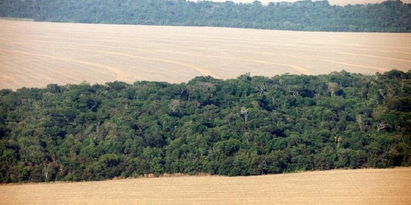 COMMODS-ADM-BUNGE-AMAZONIA