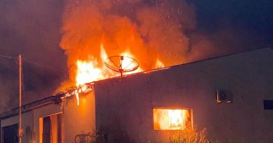 Suspeita é que jogaram veneno ou óleo no local — Foto: Divulgação