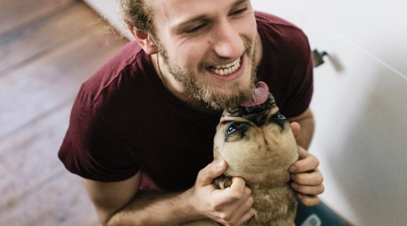 cachorro-lambe-homem-1574694206058_v2_900x506