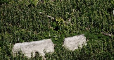 indios vale do javari