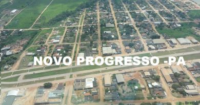 novo progresso