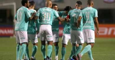 palmeirasjogadores-990x556