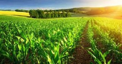 produtores agronegocio