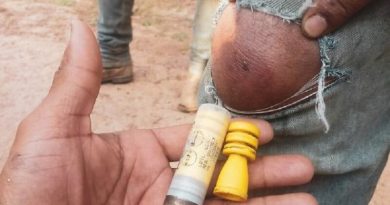 trabalhadores-castanha-600x375