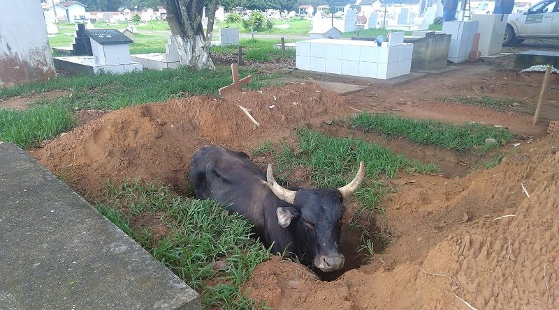 whatsapp-image-2019-12-19-at-14.49.03