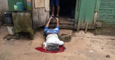 3b55a216-4388-4a96-850a-07d9f513f1c3